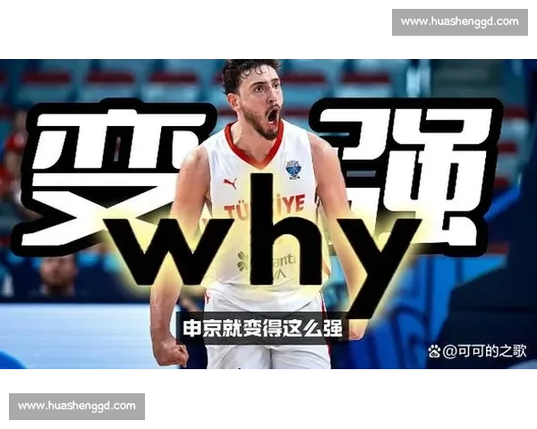申京 24+16+6 逆转瑞典 攻防进化书写土耳其篮球复兴